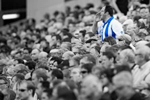 Images Dated 10th August 2013: Crowd shots at the Amex - 2013-14
