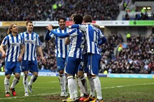 Images Dated 14th June 2001: A Glimpse into Brighton & Hove Albion's 2012-13 Home Season: Huddersfield Town (02-03-2013)
