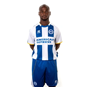 <b class=qtipBold><figcaption>Leroy Lita</figcaption></b><br> Leroy Lita