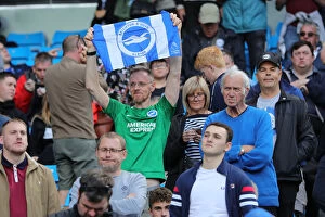 Images Dated 31st August 2019: Manchester City v Brighton and Hove Albion Premier League 31AUG19