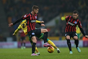 Norwich City v Brighton and Hove Albion Norwich City v Brighton and Hove Albion
