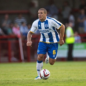 <b class=qtipBold><figcaption>Season 2013-14</figcaption></b><br>Brighton And Hove Albion Season 2013-14<br><em>© www.albionimages.com</em> Season 2013-14