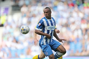 <b class=qtipBold><figcaption>Sheffield Wednesday 09/08/14</figcaption></b><br>Brighton And Hove Albion Season 2014-15: 2014-15 Home Games: Sheffield Wednesday 09/08/14<br><em>© www.albionimages.com</em> Sheffield Wednesday 09/08/14