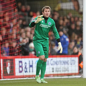 <b class=qtipBold><figcaption>Tomasz Kuszczak</figcaption></b><br>Brighton And Hove Albion Present Squad: Tomasz Kuszczak<br><em>© www.albionimages.com</em> Tomasz Kuszczak