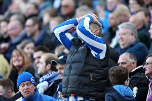 <b class=qtipBold><figcaption>Wigan Athletic 22-02-2014</figcaption></b><br>Brighton And Hove Albion Season 2013-14: 2013-14 Home Games: Wigan Athletic 22-02-2014<br><em>© www.albionimages.com</em> Wigan Athletic 22-02-2014