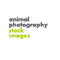 View Animal Photography Prints Animal Photography