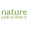 Nature Picture Library