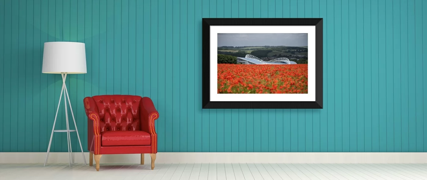 Framed Prints, Posters, Canvas Prints, Mugs, Photos, Puzzles and so much more Galleries