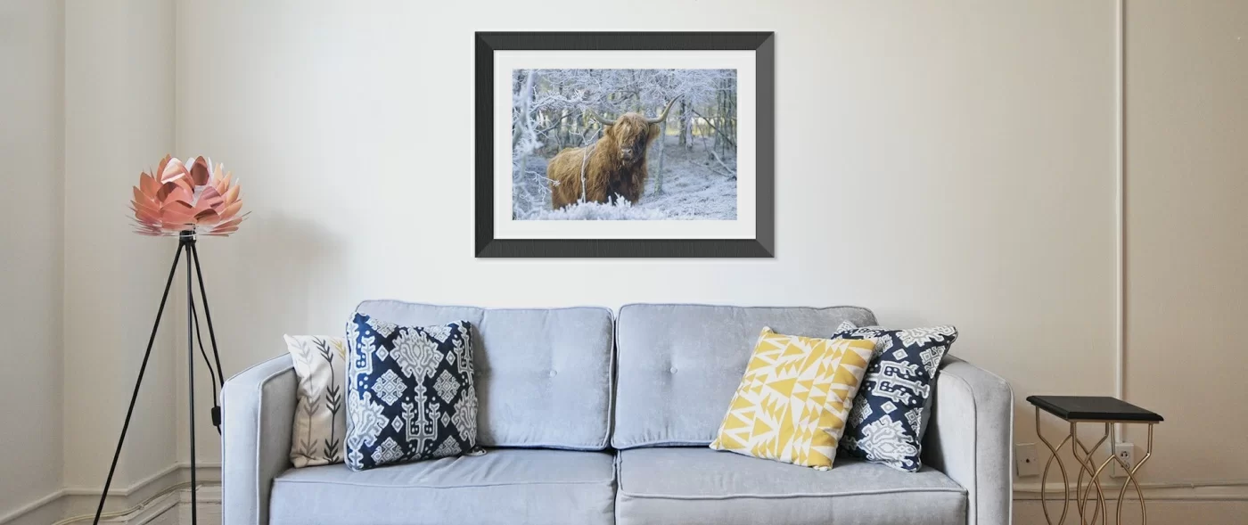 Framed Prints, Posters, Canvas Prints, Mugs, Photos, Puzzles and so much more Galleries